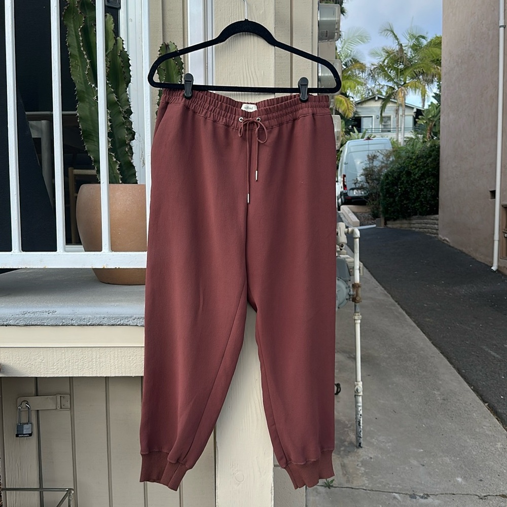 Aritzia Effortless Pant jogger in rust.